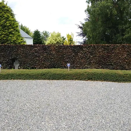 Bed & Breakfast Petites-tailles - D'hotes Vielsalm