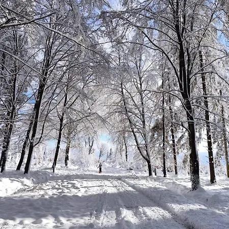 Alojamento de Acomodação e Pequeno-almoço Petites-tailles - D'hôtes 3*