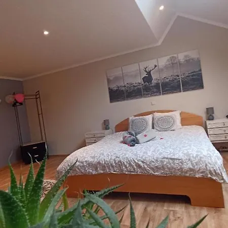 Bed & Breakfast Petites-tailles - D'hotes Vielsalm